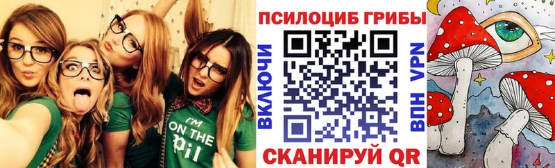 Галлюциногенные грибы Psilocybine cubensis Любань